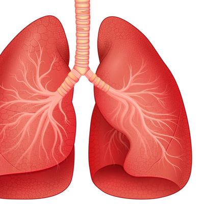 Жизнь с раком легкого
