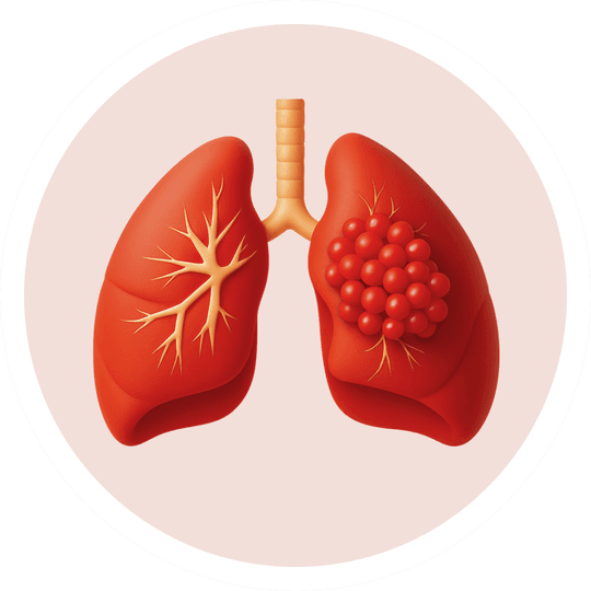 Дыхательная система